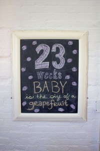 23 Weeks